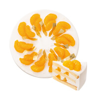 愛媛伊予柑のショートケーキ